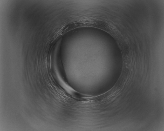 X0000053021298200507081315
