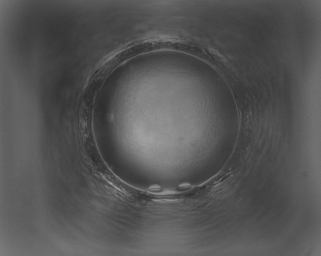 X0000053021303200507081315