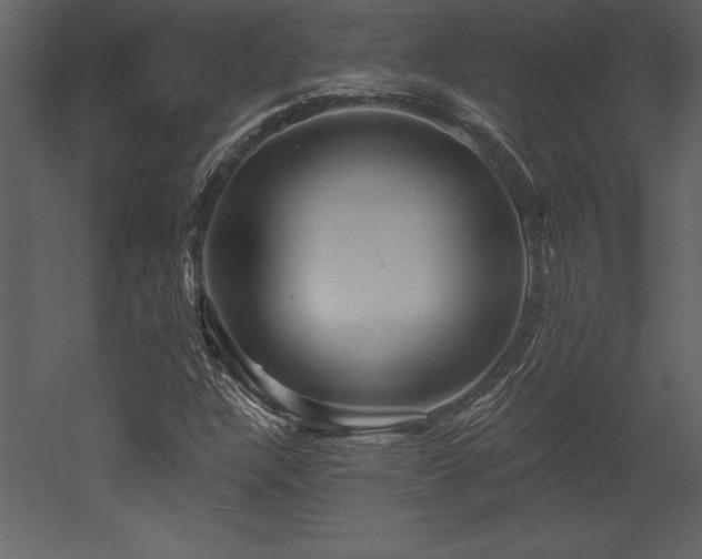 X0000053021304200507081315
