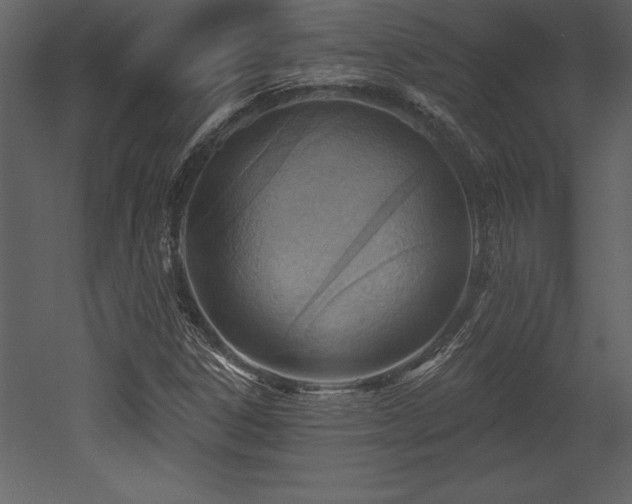 X0000053021306200507081315
