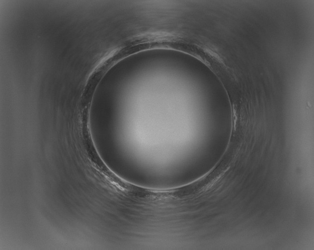 X0000053021309200507081315
