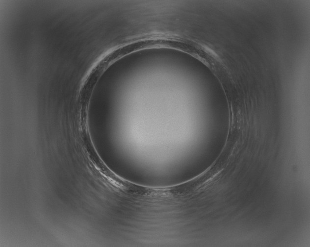 X0000053021310200507081315