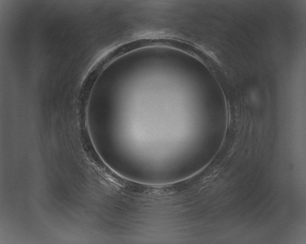 X0000053021311200507081315
