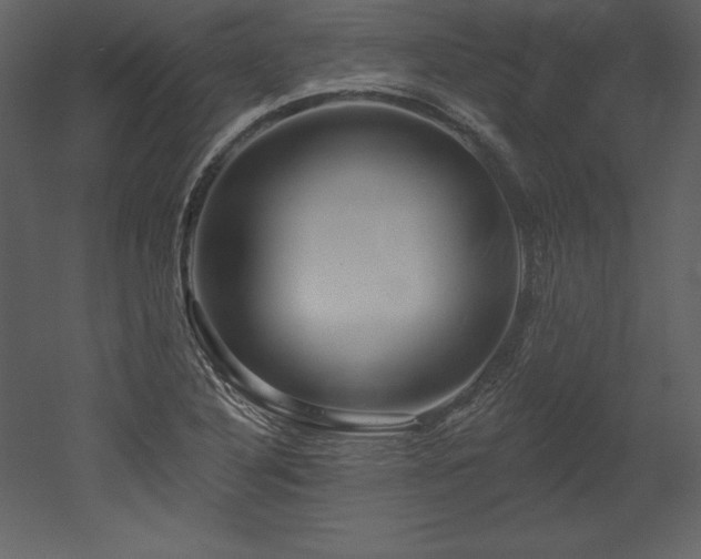 X0000053021316200507081315