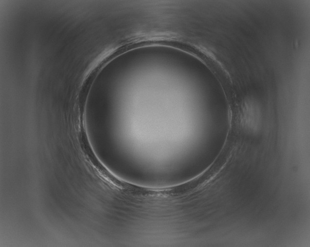 X0000053021317200507081315