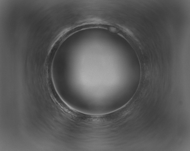 X0000053021318200507081315