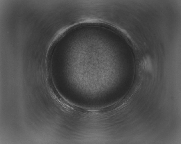 X0000053021319200507081315