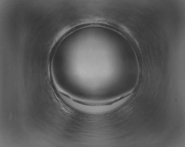 X0000053021320200507081315