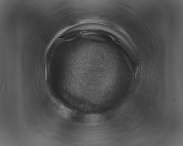 X0000053021323200507081316