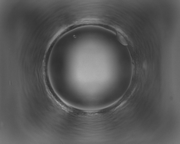 X0000053021325200507081316