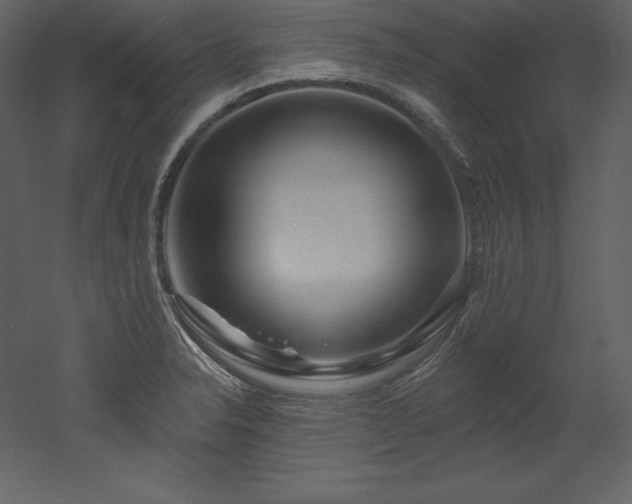 X0000053021326200507081316