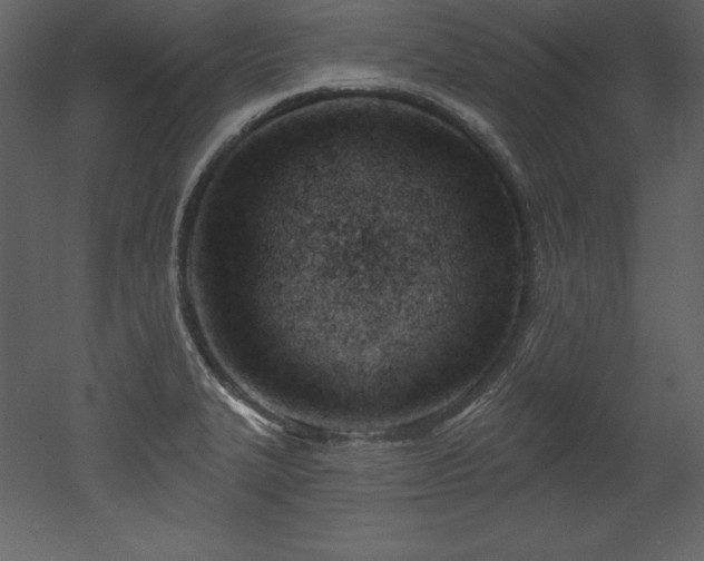 X0000053021327200507081316