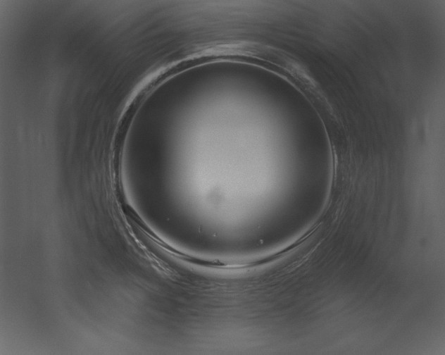 X0000053021328200507081316