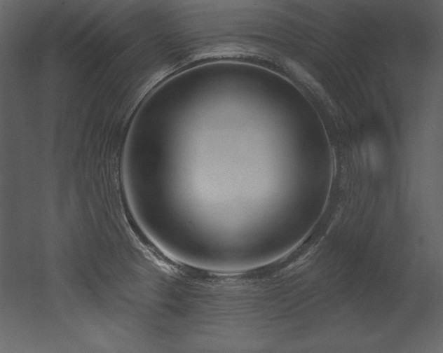 X0000053021329200507081316