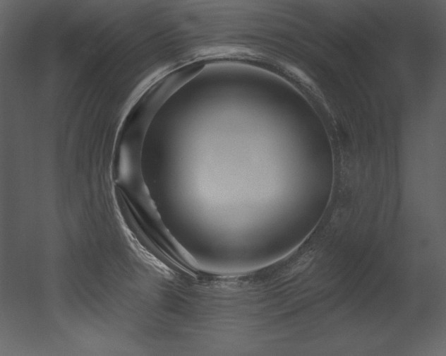 X0000053021330200507081316