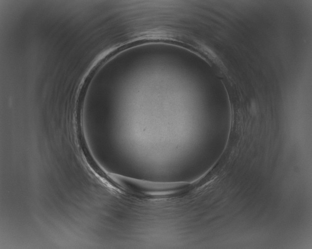 X0000053021331200507081316