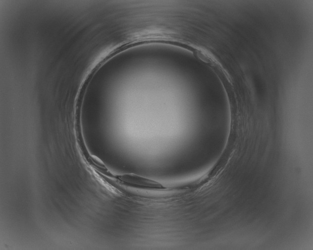 X0000053021333200507081316