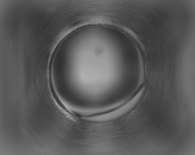 X0000053021335200507081316