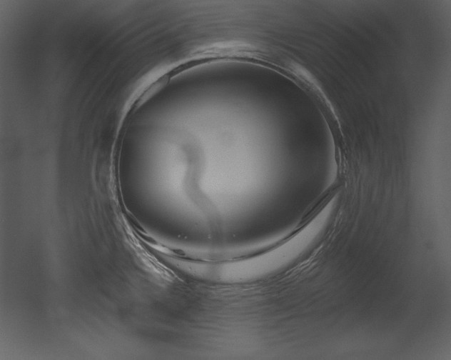 X0000053021336200507081316