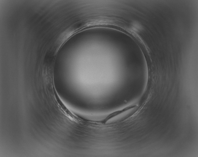 X0000053021337200507081316