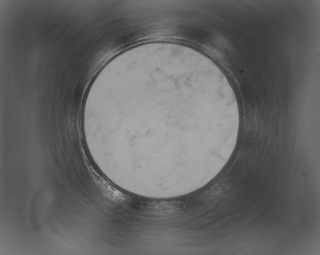 X0000053021338200507081316