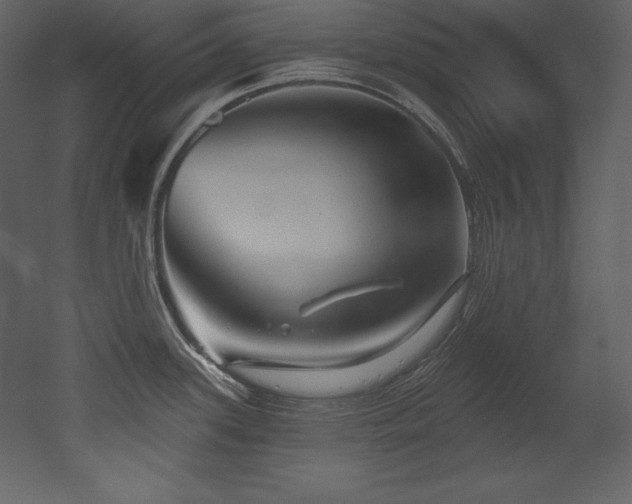 X0000053021339200507081316