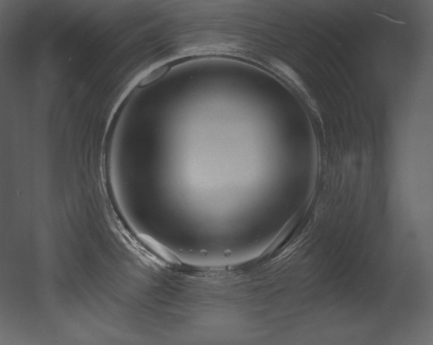 X0000053021340200507081316