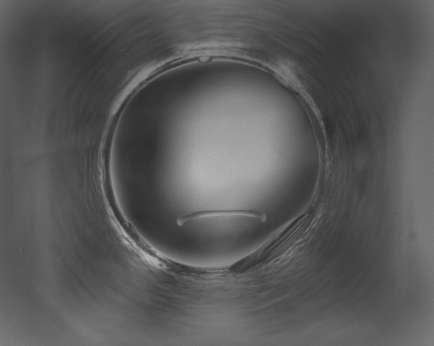 X0000053021341200507081316