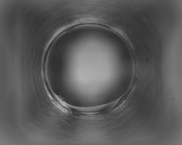 X0000053021342200507081316