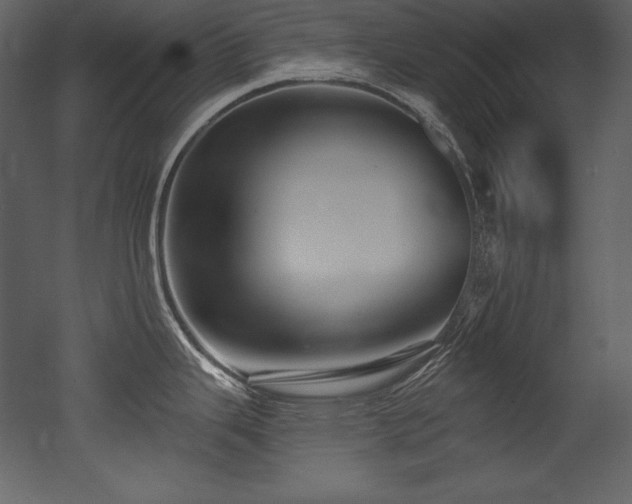 X0000053021343200507081316