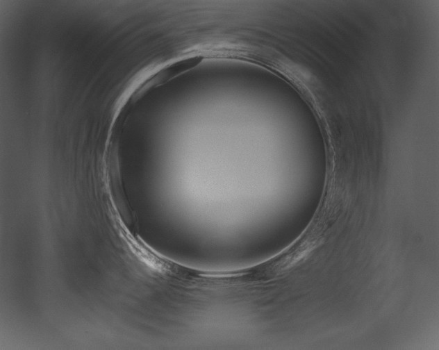 X0000053021344200507081316
