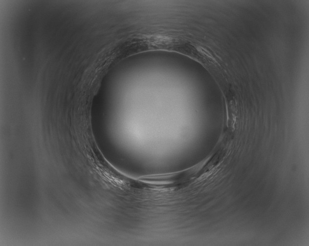 X0000053021345200507081315