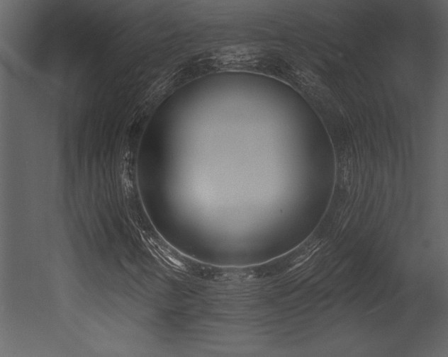 X0000053021346200507081315