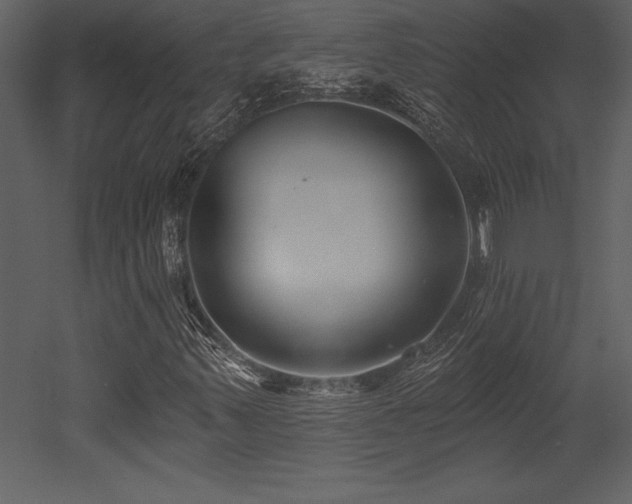 X0000053021347200507081315