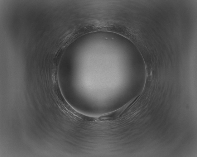 X0000053021348200507081315