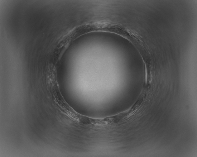 X0000053021349200507081315