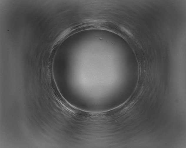 X0000053021354200507081315