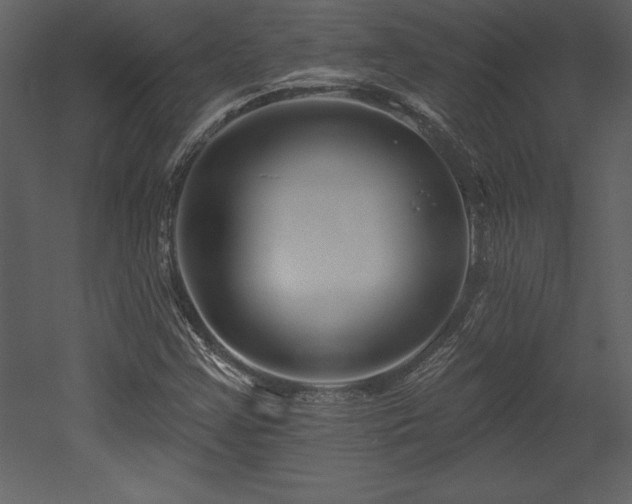 X0000053021355200507081315