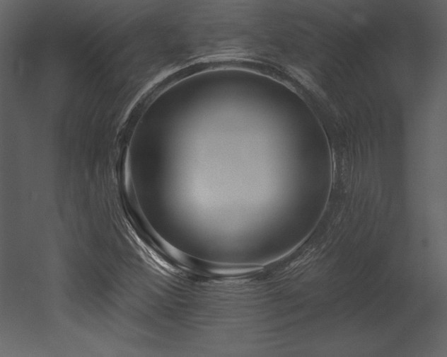 X0000053021356200507081315