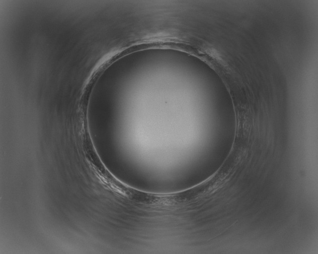 X0000053021358200507081315