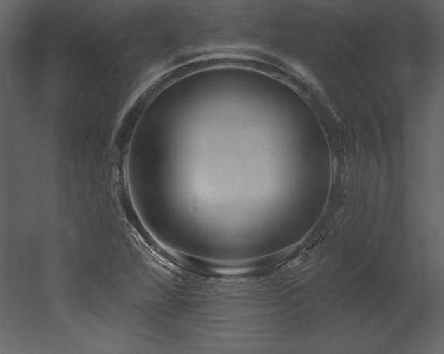 X0000053021360200507081315