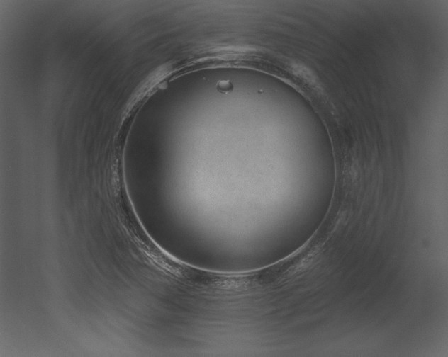 X0000053021362200507081315