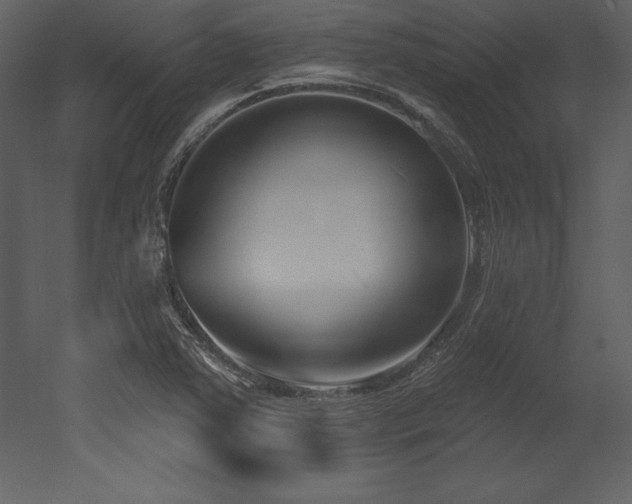 X0000053021363200507081315
