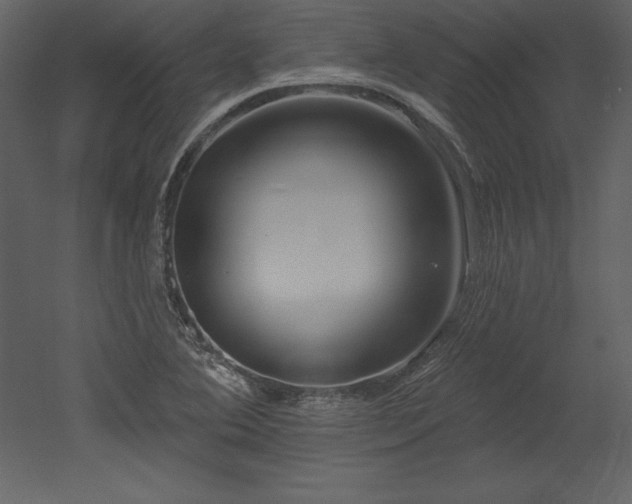 X0000053021364200507081315