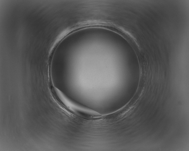 X0000053021365200507081315