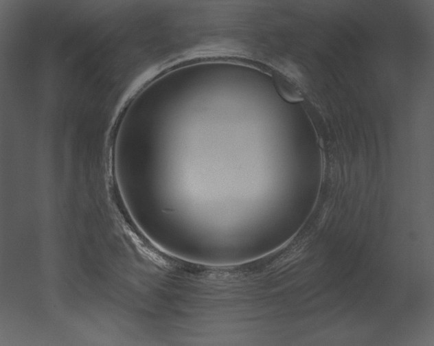 X0000053021366200507081315