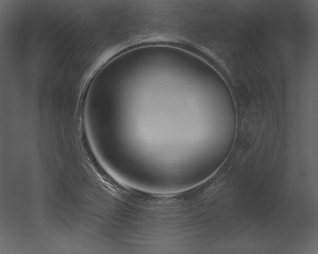 X0000053021367200507081315