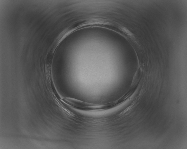 X0000053021369200507081315