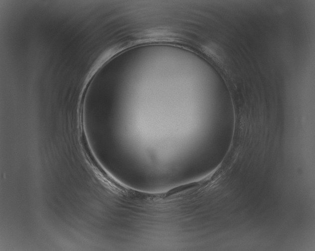 X0000053021370200507081315