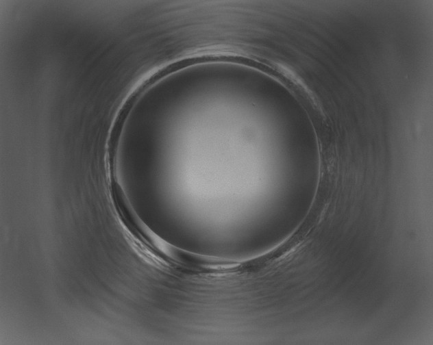 X0000053021372200507081315